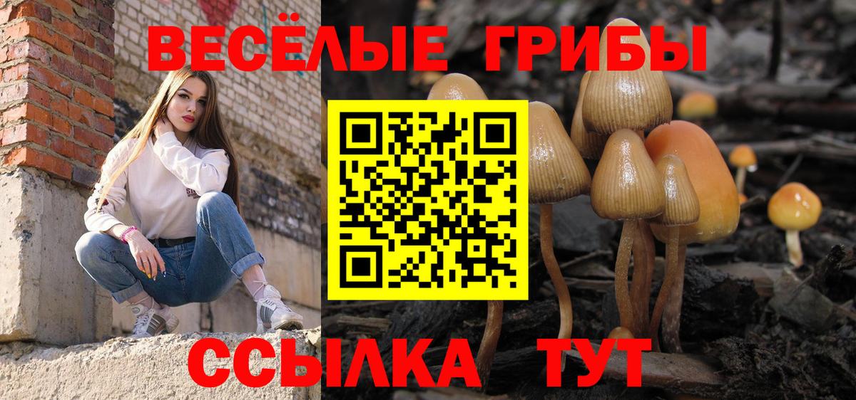 Псилоцибиновые грибы Cubensis Соликамск